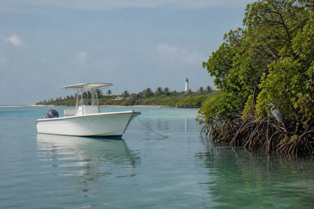 Speedboat anchored beside a mangrove shoreline under a wide open sky