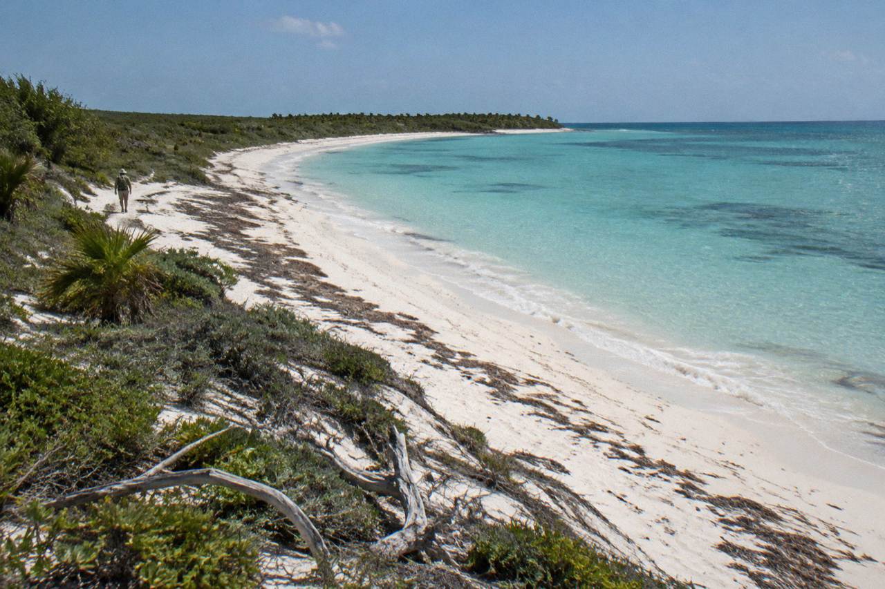 Protected island shoreline with white sand, shallow turquoise water and low coastal vegetation under a clear sky