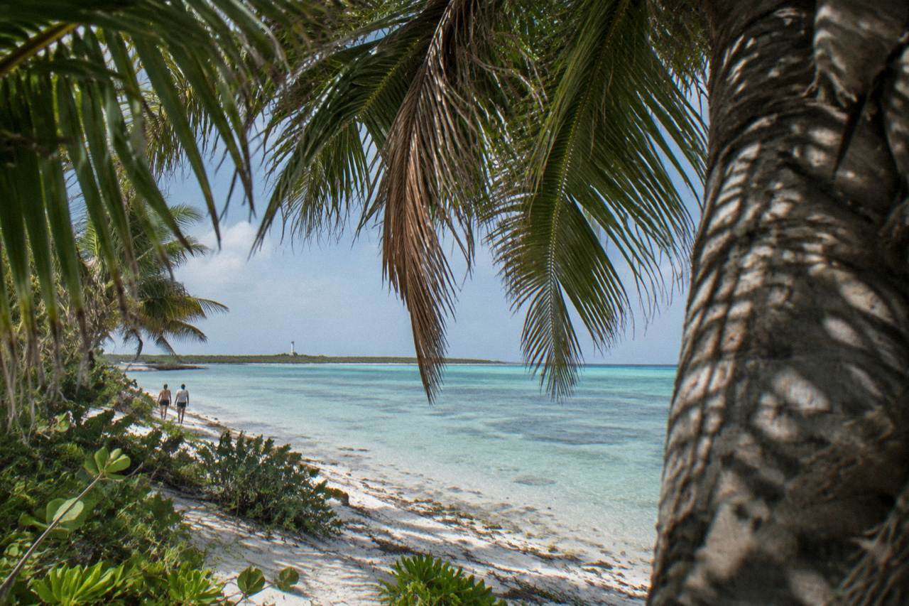 Shaded palm fronds over white sand and clear shallow water on an uninhabited Caribbean island