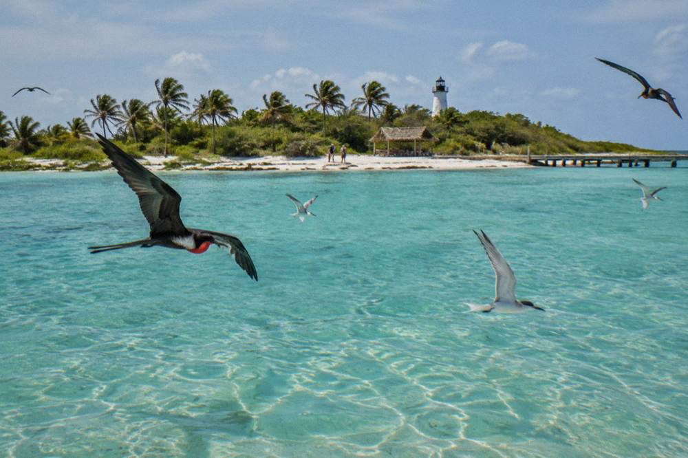 Turquoise shallows off a sandy beach with seabirds gliding above the water