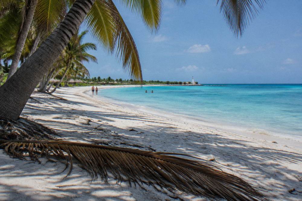 Palm fronds shading an empty white sand beach by calm turquoise sea