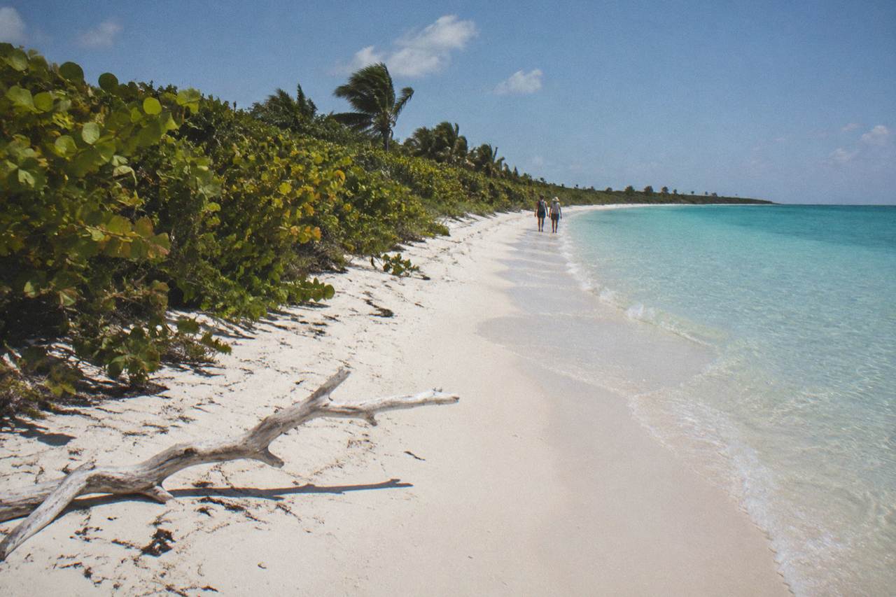 Empty white sand beach with calm turquoise water and a line of coastal shrubs along the shoreline