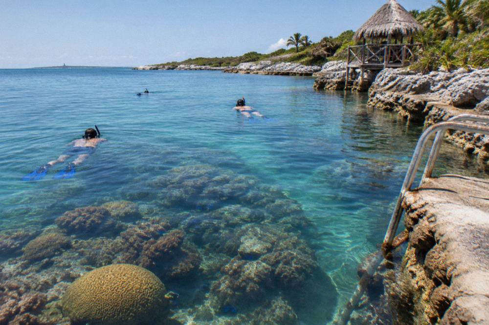 Snorkelers floating above a shallow coral reef in clear water