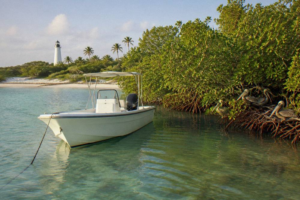 A white speedboat anchored beside a mangrove shoreline on a protected island