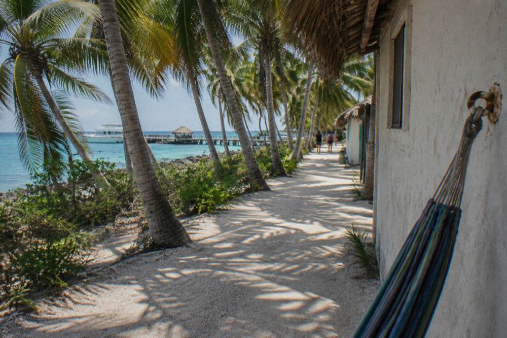 Palm trees and a quiet beach path near a small island town center