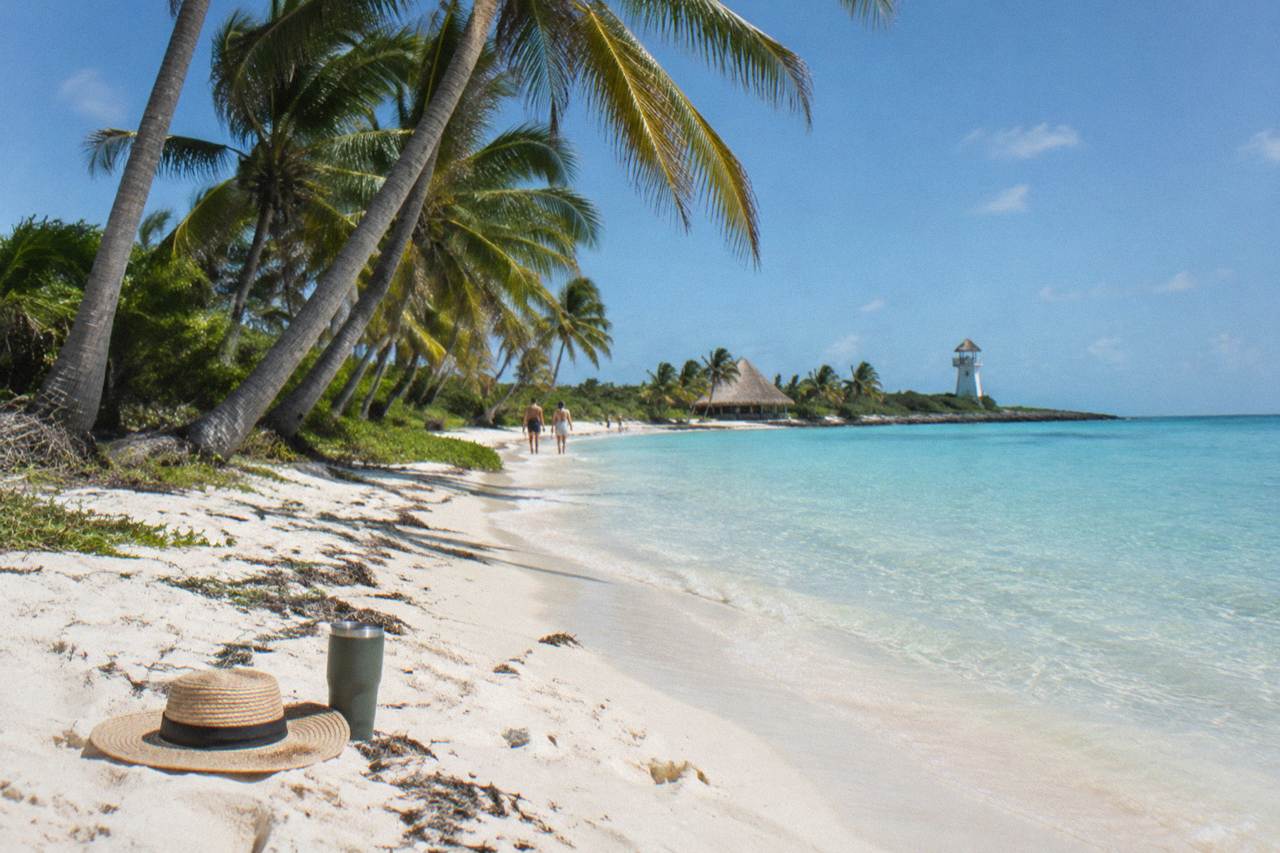 Calm turquoise water along a white sand beach with palm trees under a clear sky