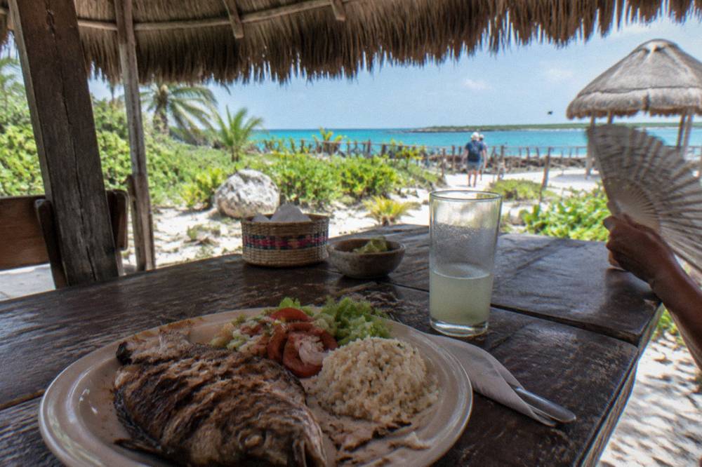 A buffet lunch of grilled fish, rice and salad served under a palm thatch palapa on a beach