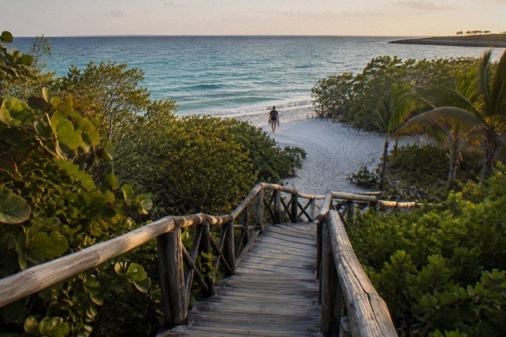 A wooden walkway through mangrove vegetation leading to a beach on a protected island