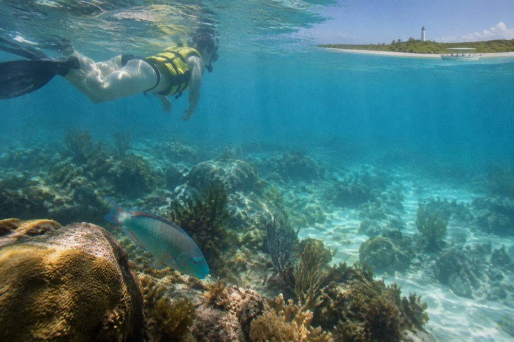 A snorkeler wearing a life vest floating above a shallow coral reef in clear water