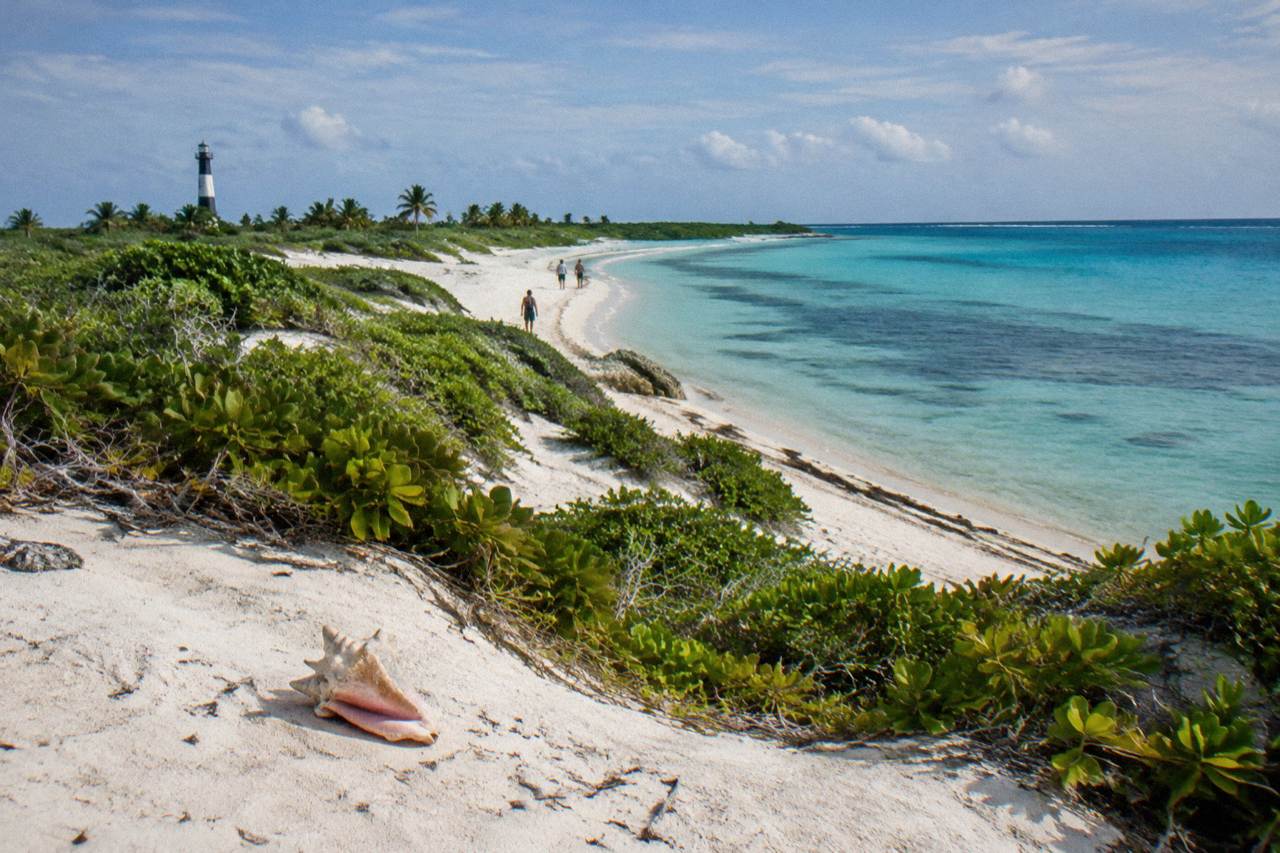 A white sand beach on Isla Contoy with calm turquoise water and low green scrub