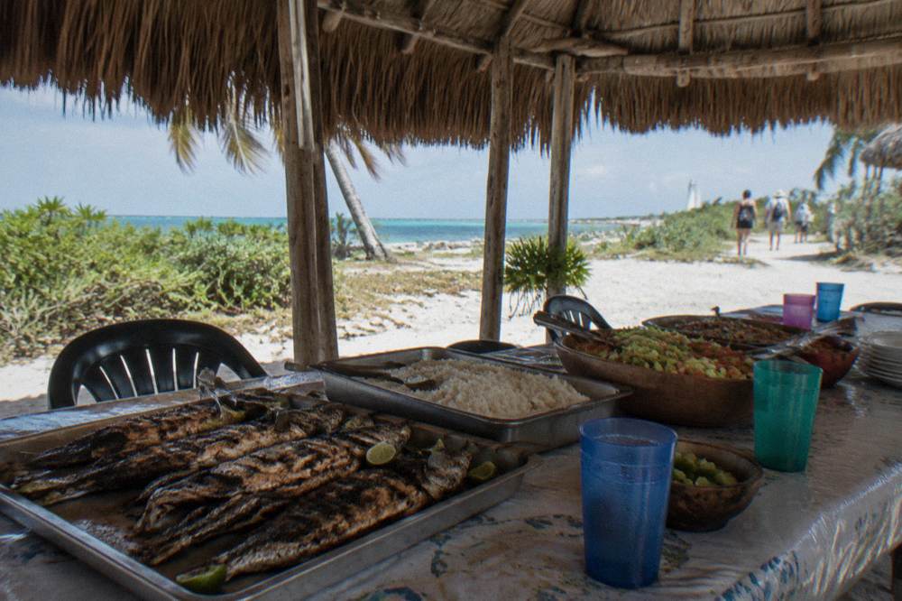 Buffet lunch of grilled fish, rice and salad served under a thatched palapa roof