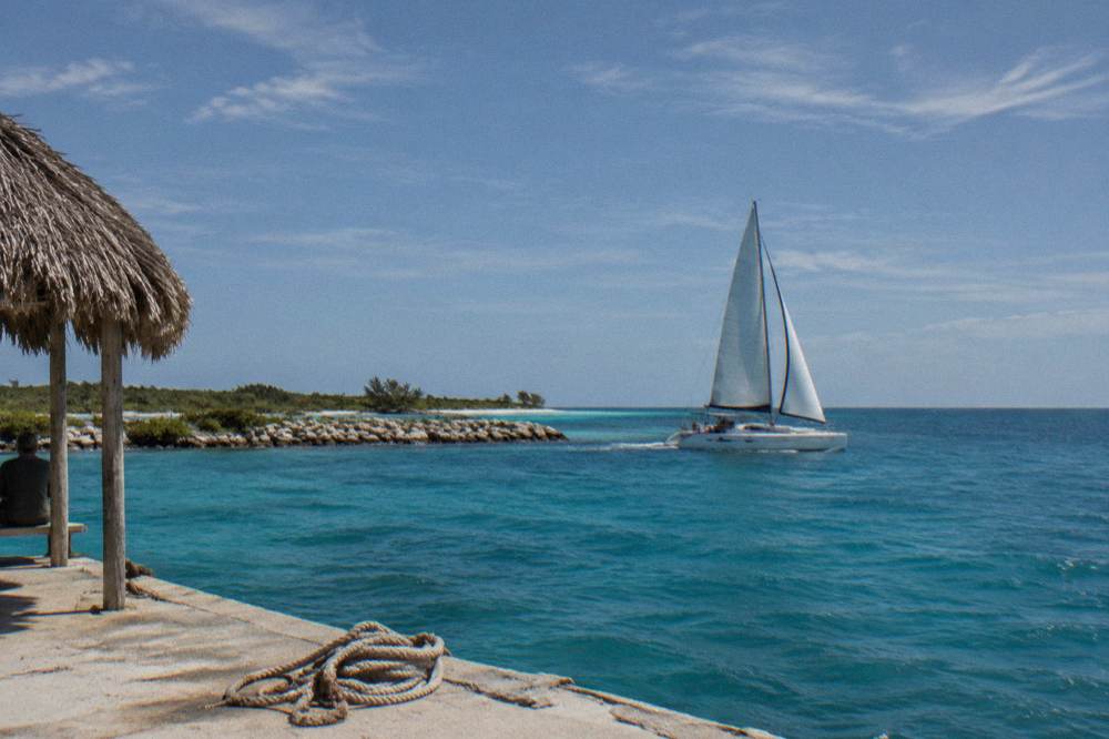 A sailing catamaran heeling gently on open water with its sails up