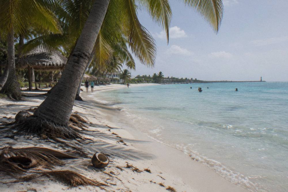 Palm trees leaning over a quiet white sand beach with shallow clear water