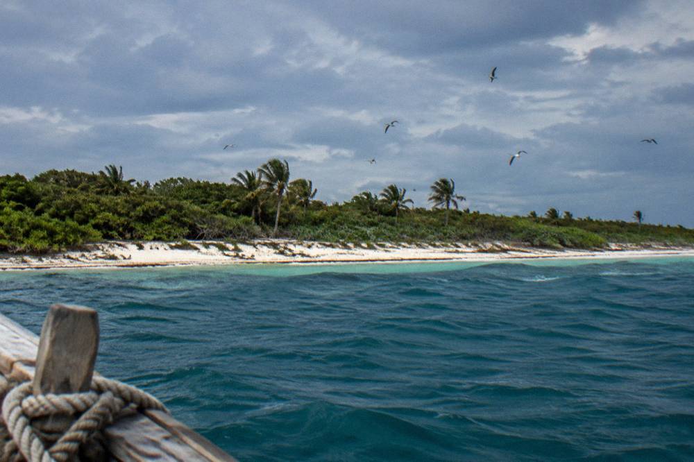 A small uninhabited tropical island with white sand and dense low green vegetation seen from open water