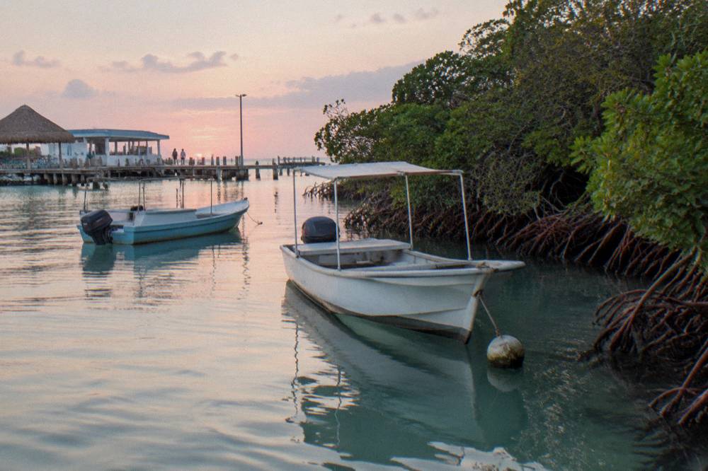A calm anchorage with moored boats and mangrove shoreline in morning light