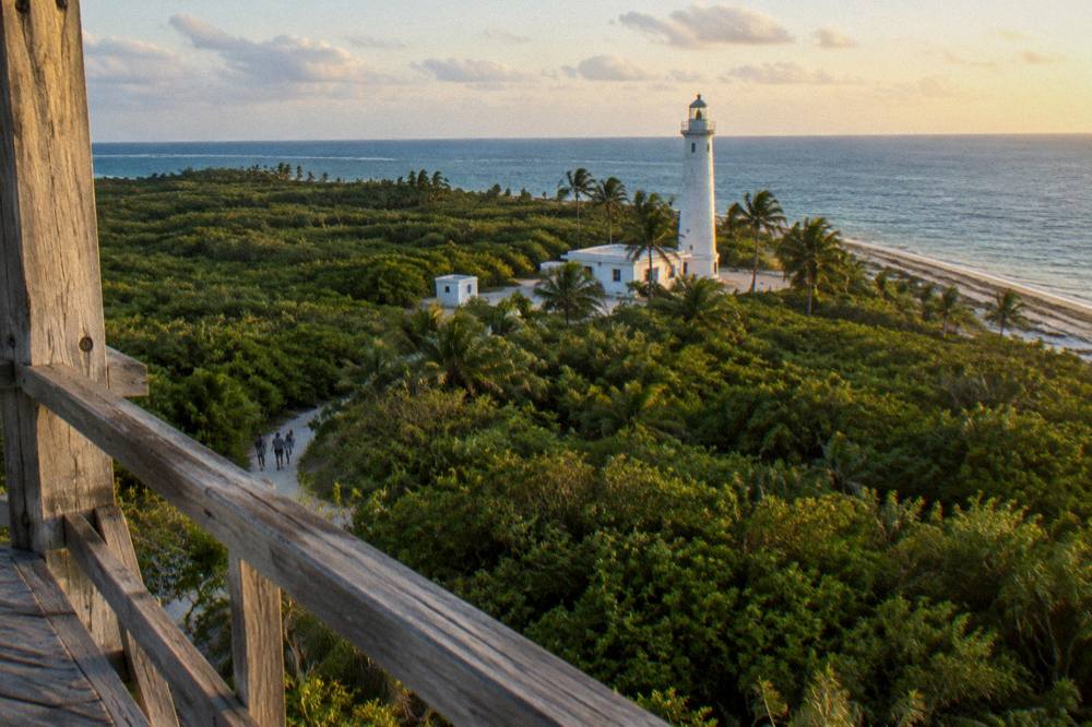 Open wooden observation tower above green canopy looking toward blue sea