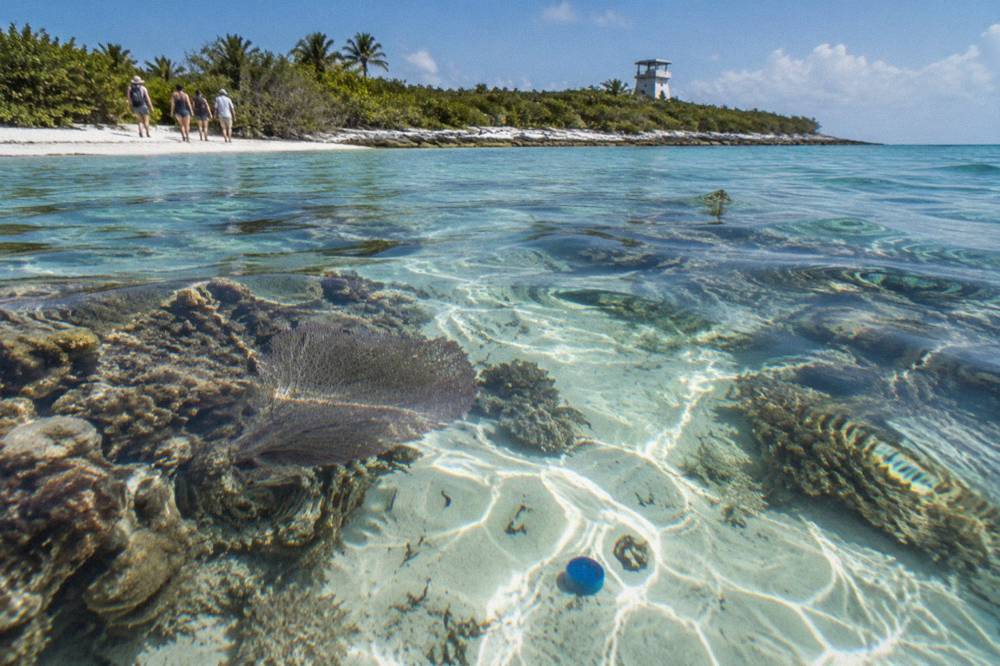 Close view of clear shallow water over a pale reef with scattered coral heads