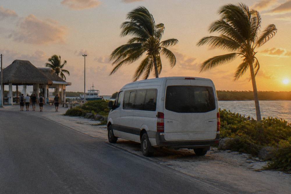 A van parked on a coastal road beside palm trees in early morning light