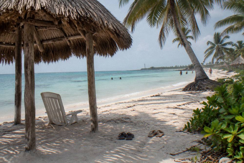 Wide sandy beach lined with palms and a thatched shade structure