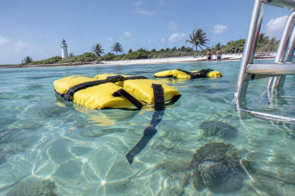 Snorkelers in life vests floating above a shallow reef near a boat ladder