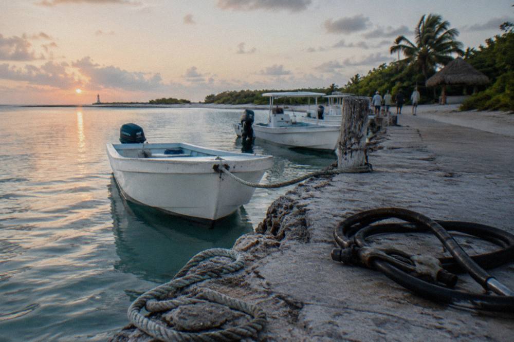 Small marina with white speedboats moored along a wooden dock at early morning