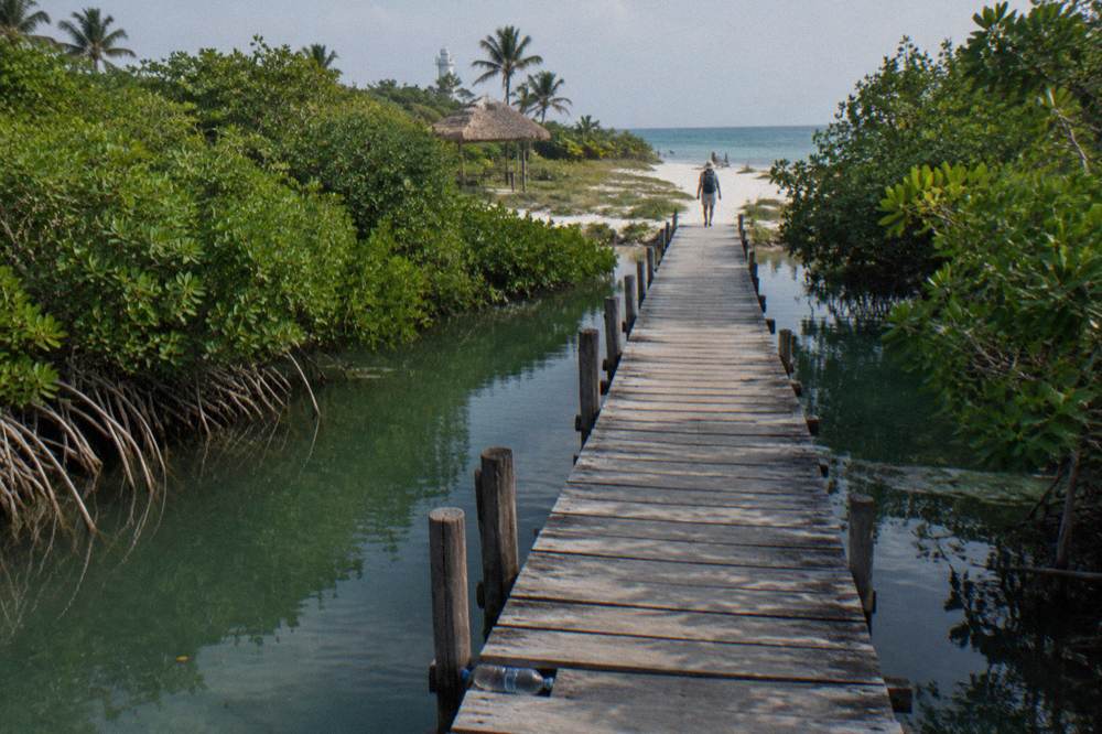 Wooden walkway through mangroves toward a white sand beach and calm shallows