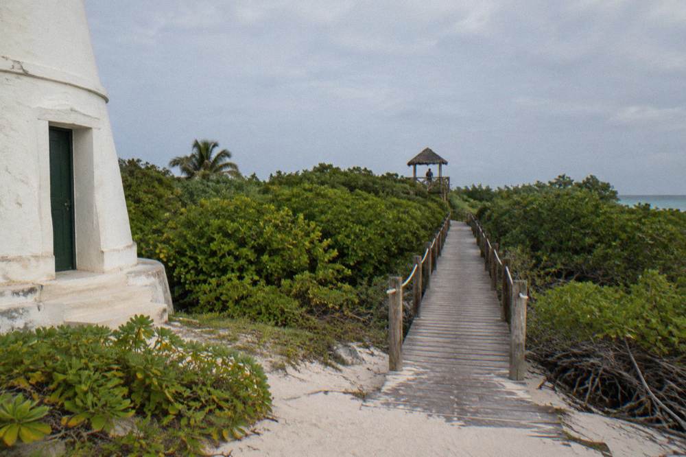 Wooden walkway through green mangroves toward a birdwatching viewpoint