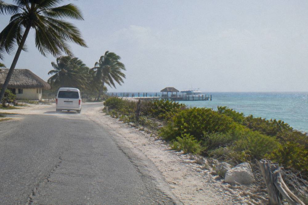 Coastal highway curving north with palm trees and open sea on the right side
