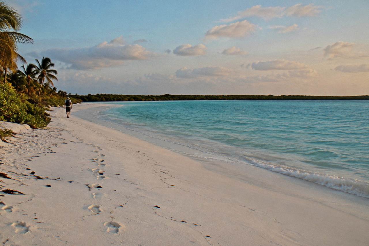 Empty white sand beach with calm turquoise water and a line of dark mangrove trees