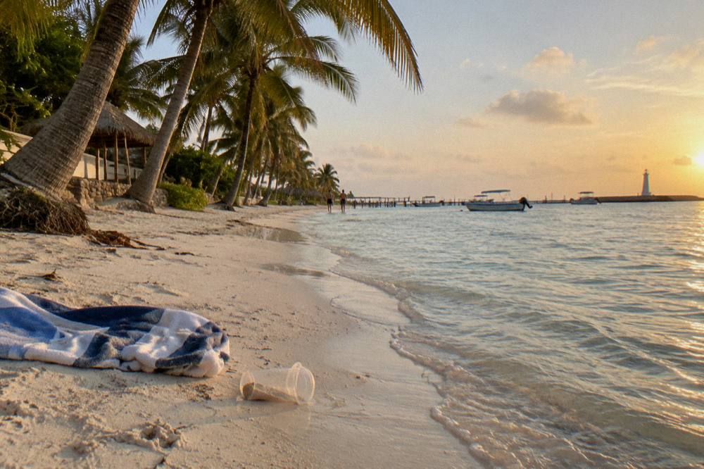 White sand beach with leaning palms and calm shallow water along an island shore