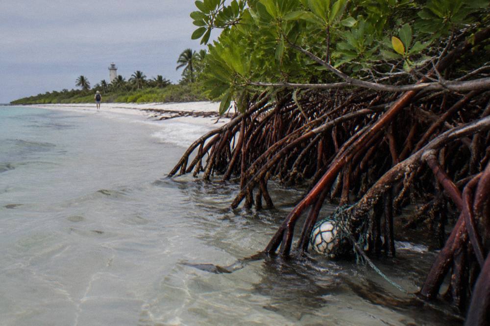 A white sand beach with shallow clear water and mangrove vegetation at the edge