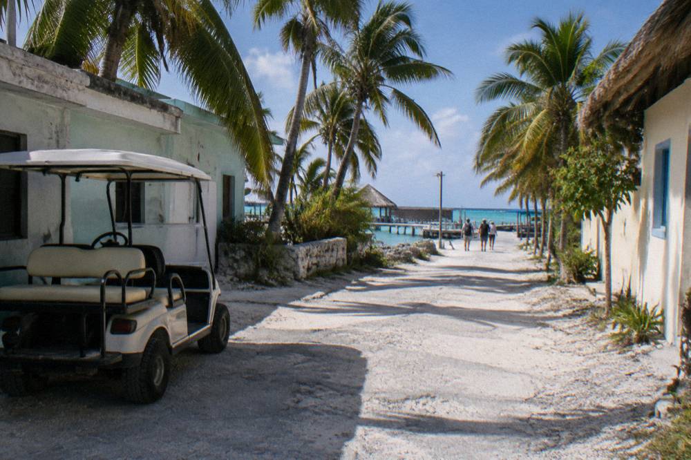 A quiet island street with low buildings and palm trees under a bright sky