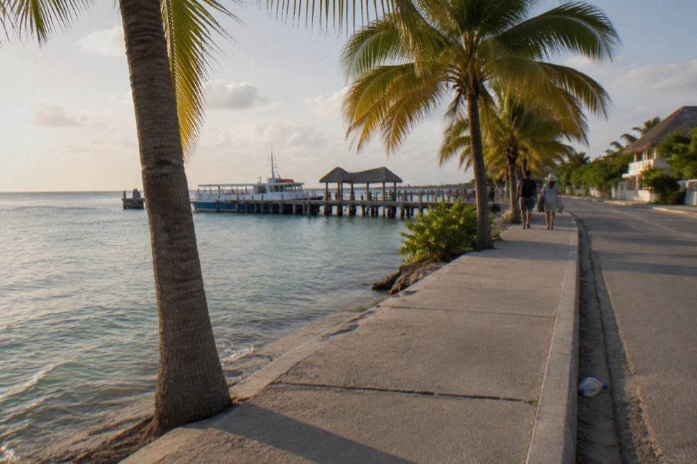 A seaside promenade with palms and calm shallow water on both sides of the road