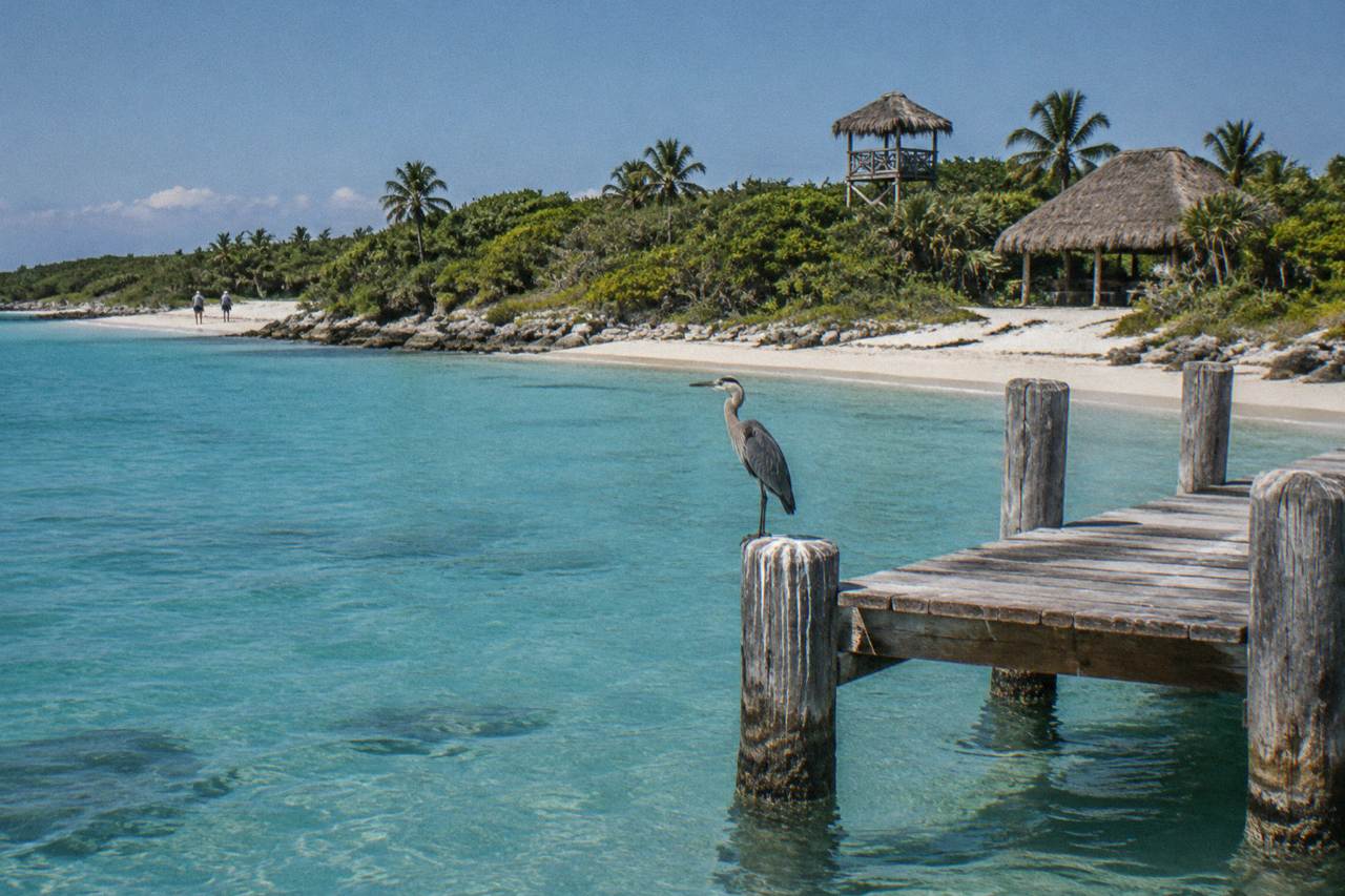 Calm turquoise water along a quiet Caribbean island shoreline with a wooden dock