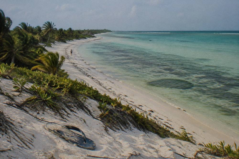 A empty palm-fringed beach with pale sand and clear shallow water