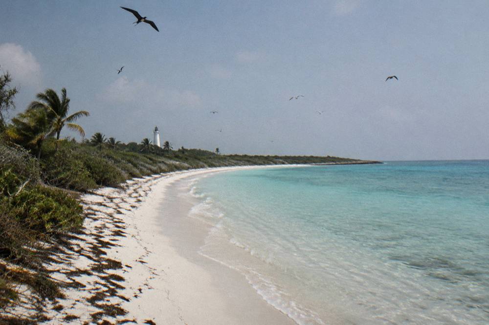 An empty stretch of white sand curving toward calm shallow water with seabirds overhead