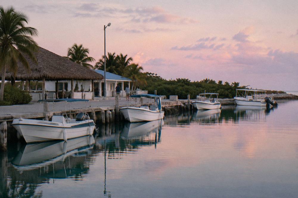 A quiet marina dock at morning with several moored boats and still water