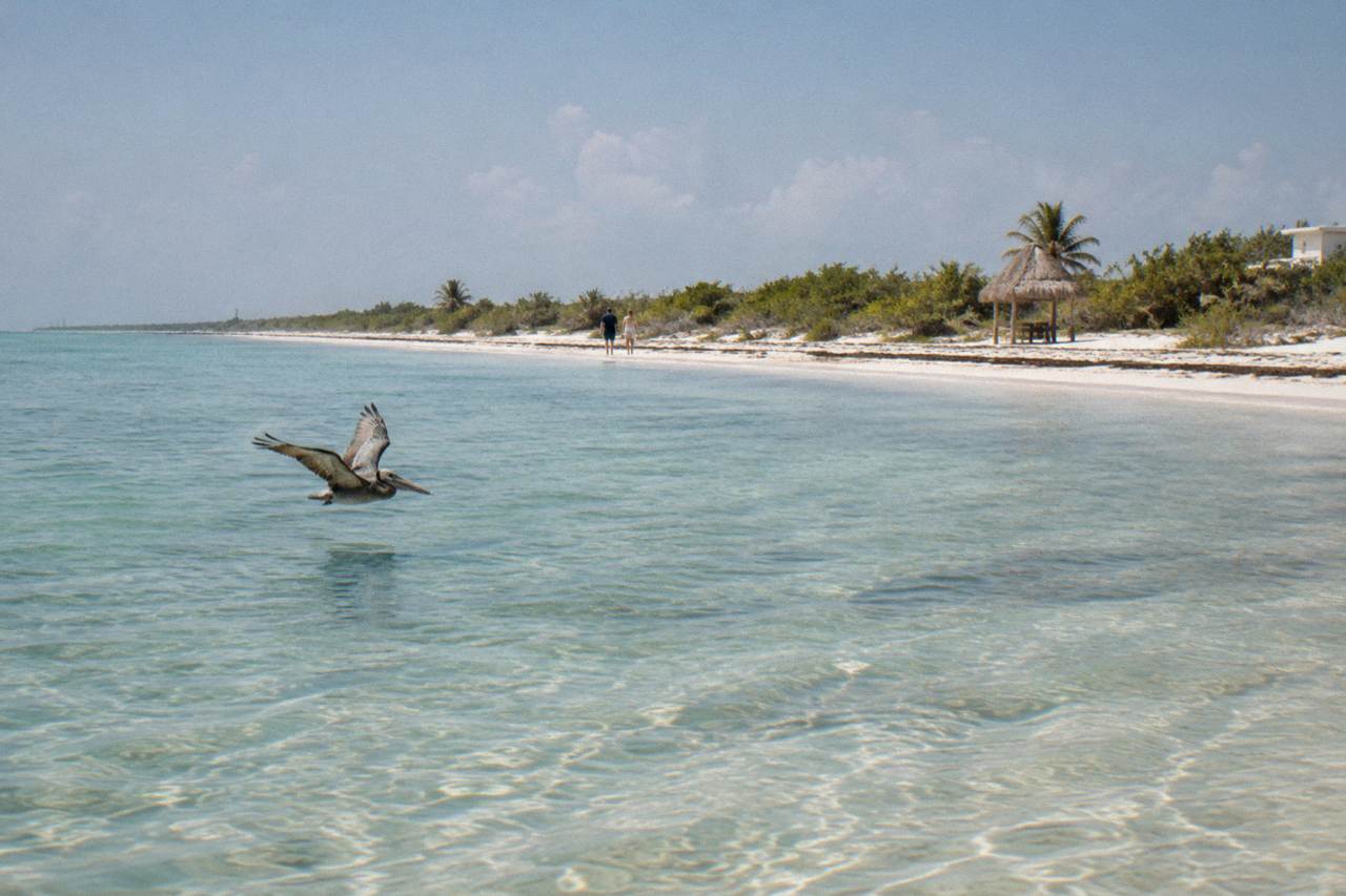 A calm white sand beach with clear shallow water and low green scrub along the shoreline