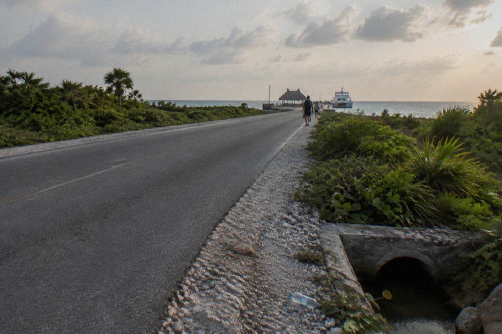 Coastal highway heading north from Playa del Carmen with low jungle scrub on both sides